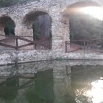 Caminada a Alcover -  Niu de l' Àliga