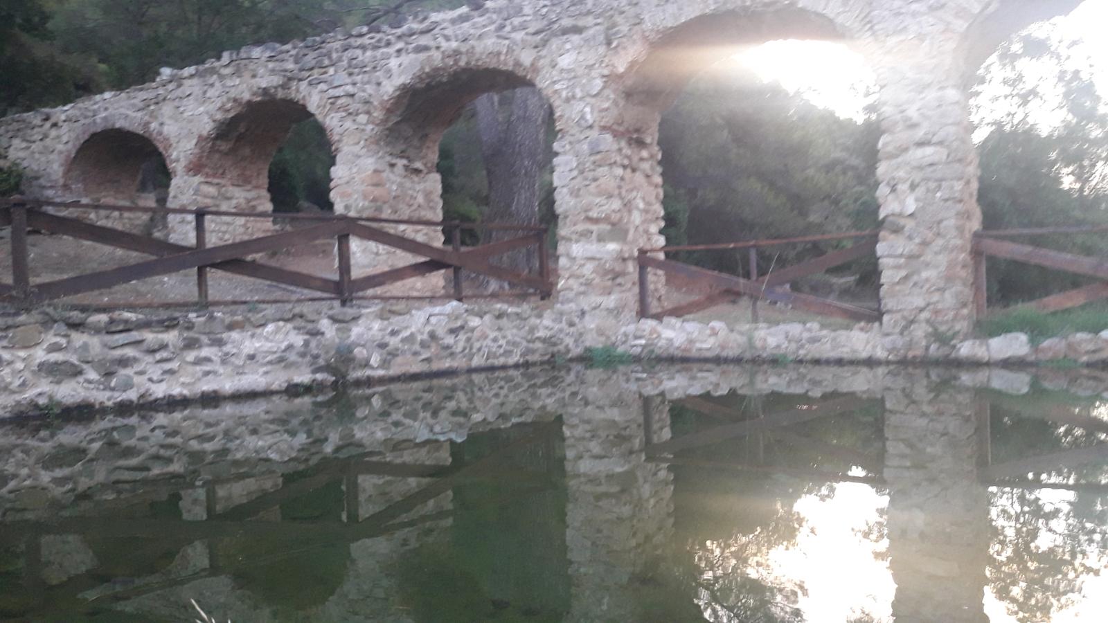 Caminada a Alcover -  Niu de l' Àliga